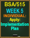 BSA/515 Week 5 Apply: Implementation Plan